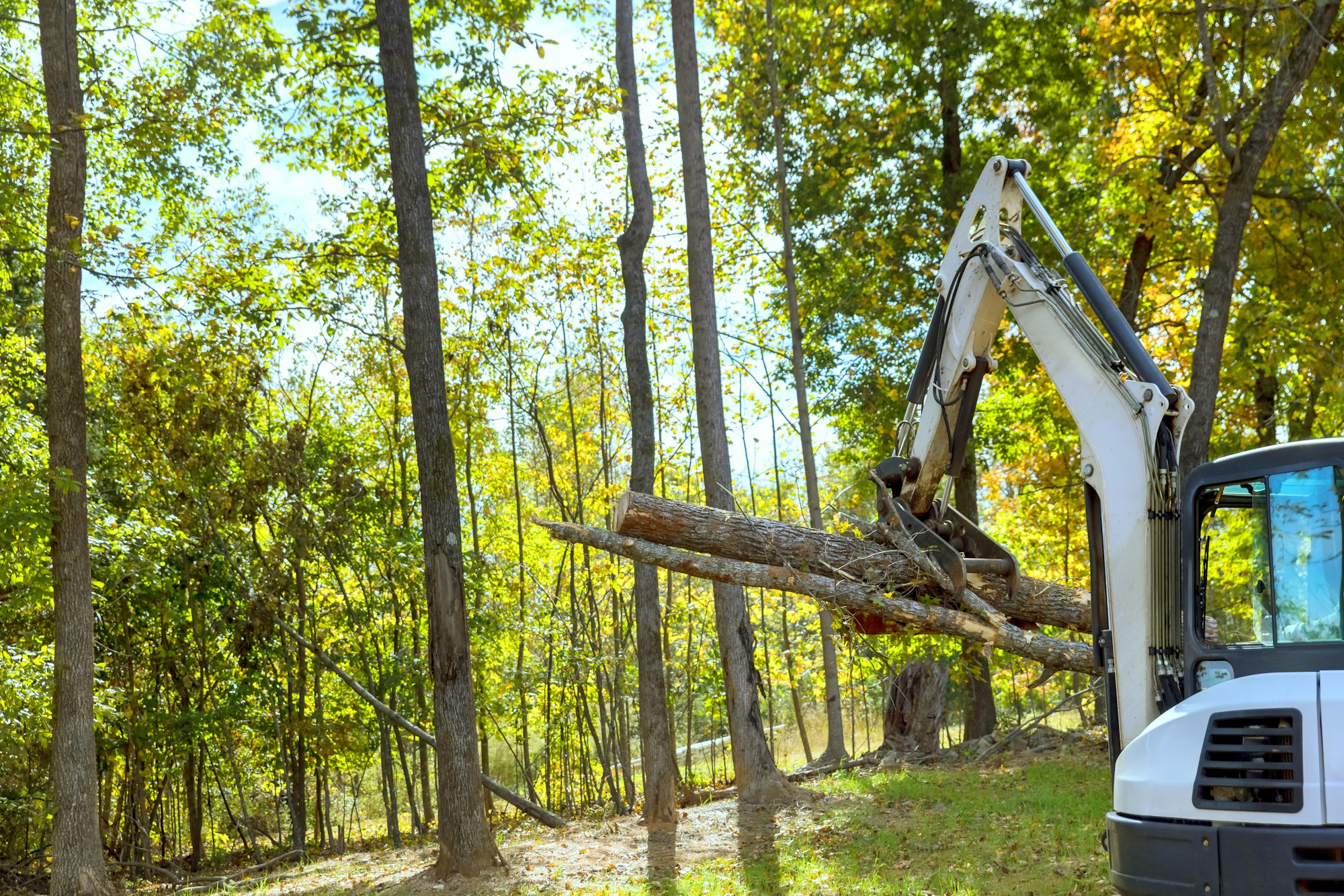Landscaping for housing complex: tractor skid steer clears trees during construction