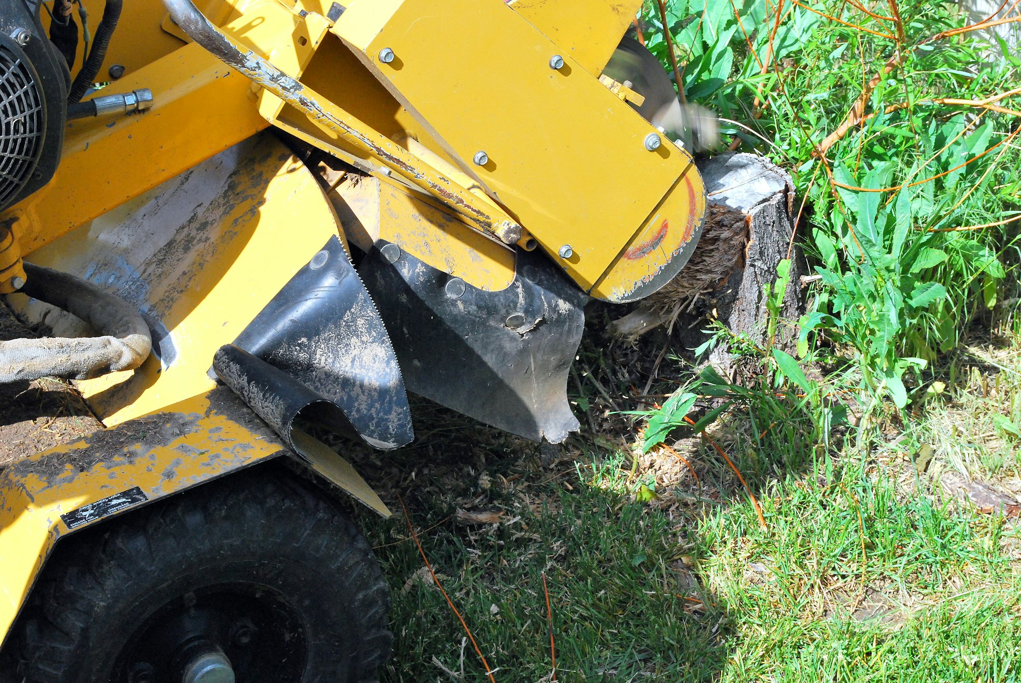 Old rusty tree stump machine in a garden